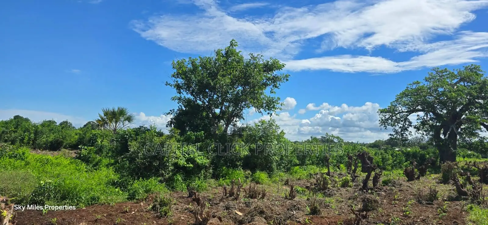 0.25 Acre Beach Plots for Sale in Vipingo | 3rd Row | KSH 3.85m