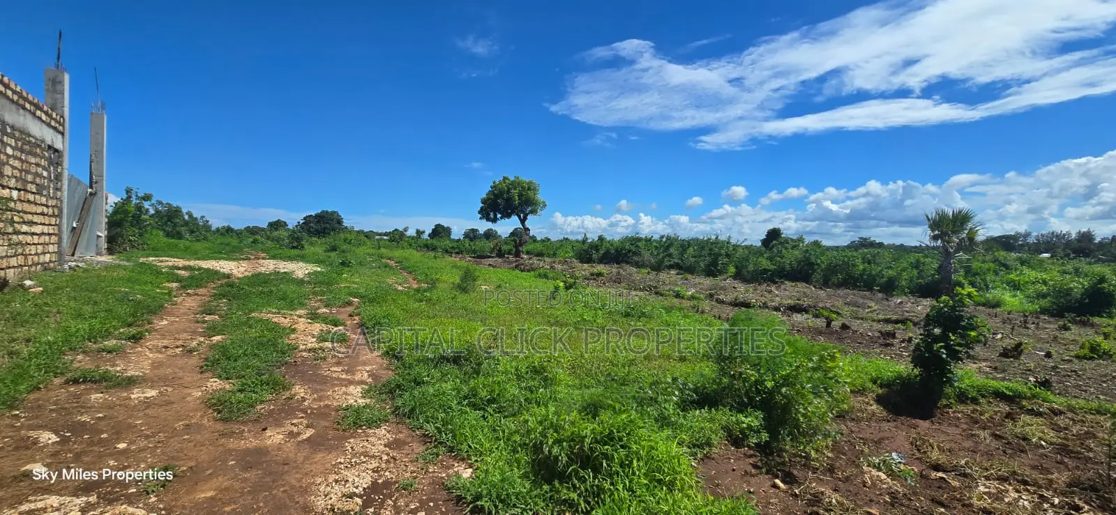 0.25 Acre Beach Plots for Sale in Vipingo | 3rd Row | KSH 3.85m