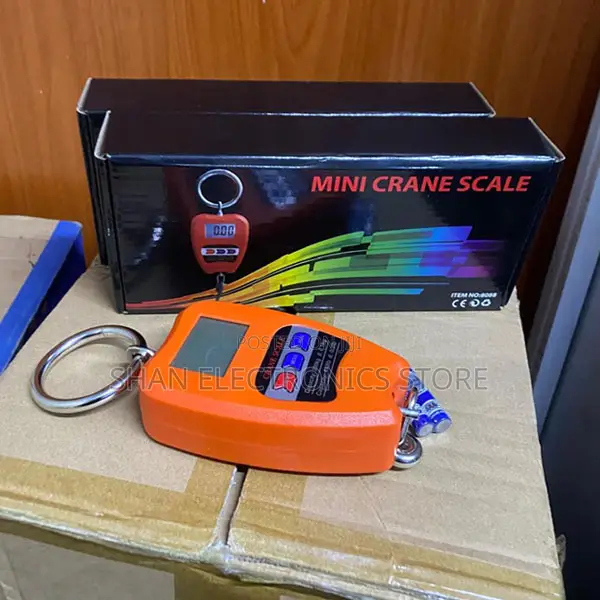 LCD Backlight Display 200kg Portable Mini Crane Digital Hanging Scale