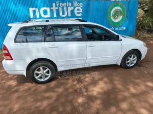 Toyota Corolla Fielder 2006 White