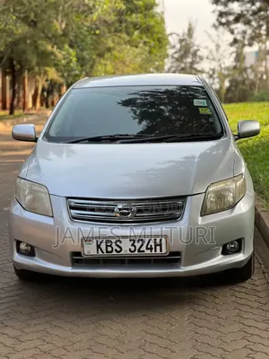 Toyota Axio 2007 Silver