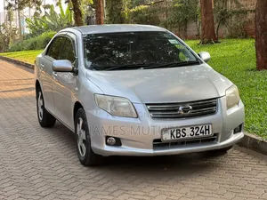 Toyota Axio 2007 Silver