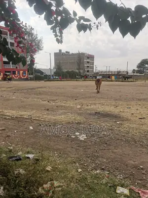 Land - Prime Property. Half Acre Within the Heart of Kitengela Town.