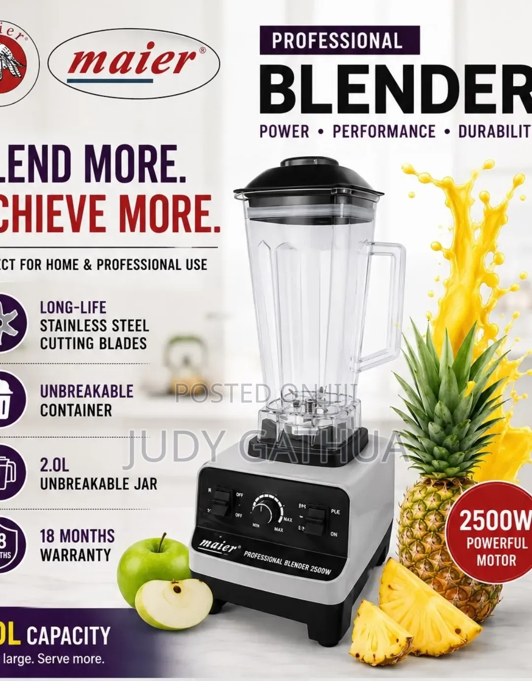 Maier Professional Blender