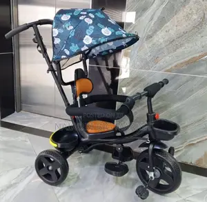 Tricycle With Canopy And Handle