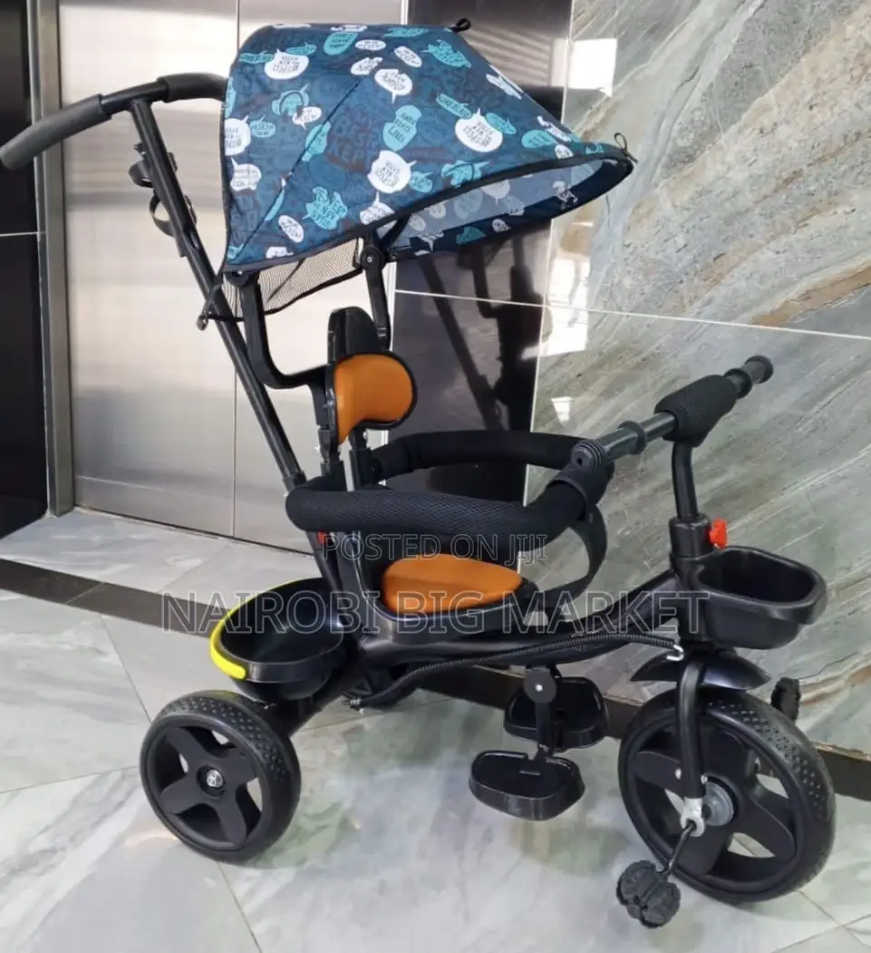 Tricycle With Canopy And Handle