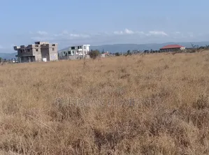 4 Acre of Land Selling Kantafu 1 Km