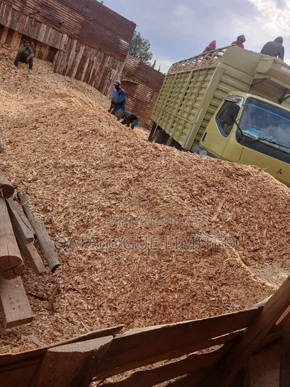 Woodchips for Sale in Bulk