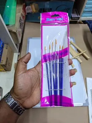 Quality Plastic Art Brushes