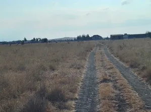 2 Acre of Land Selling at Koma
