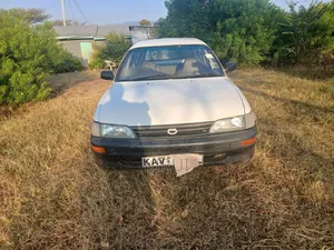 Toyota Corolla 2002 White