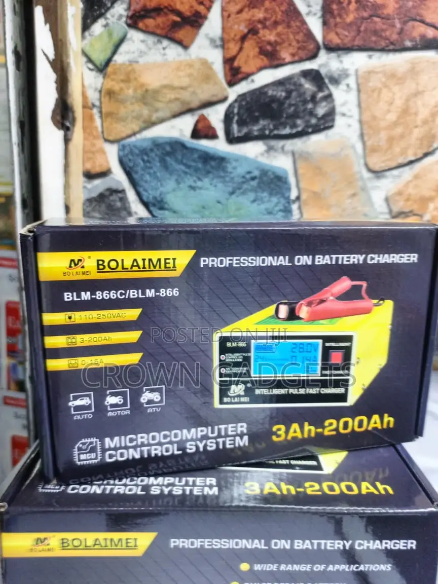 Bolaimei Battery Charger With Pulse Repair Technology