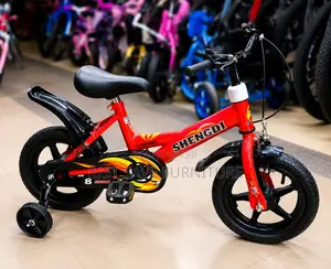 Shengdi 12 Inch Kids Bicycle With Training Wheels