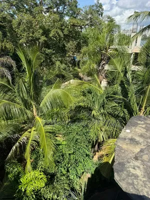 Furnished 4bdrm Penthouse in Nyali Creek for sale