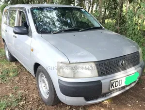 Toyota Probox 2014 Silver