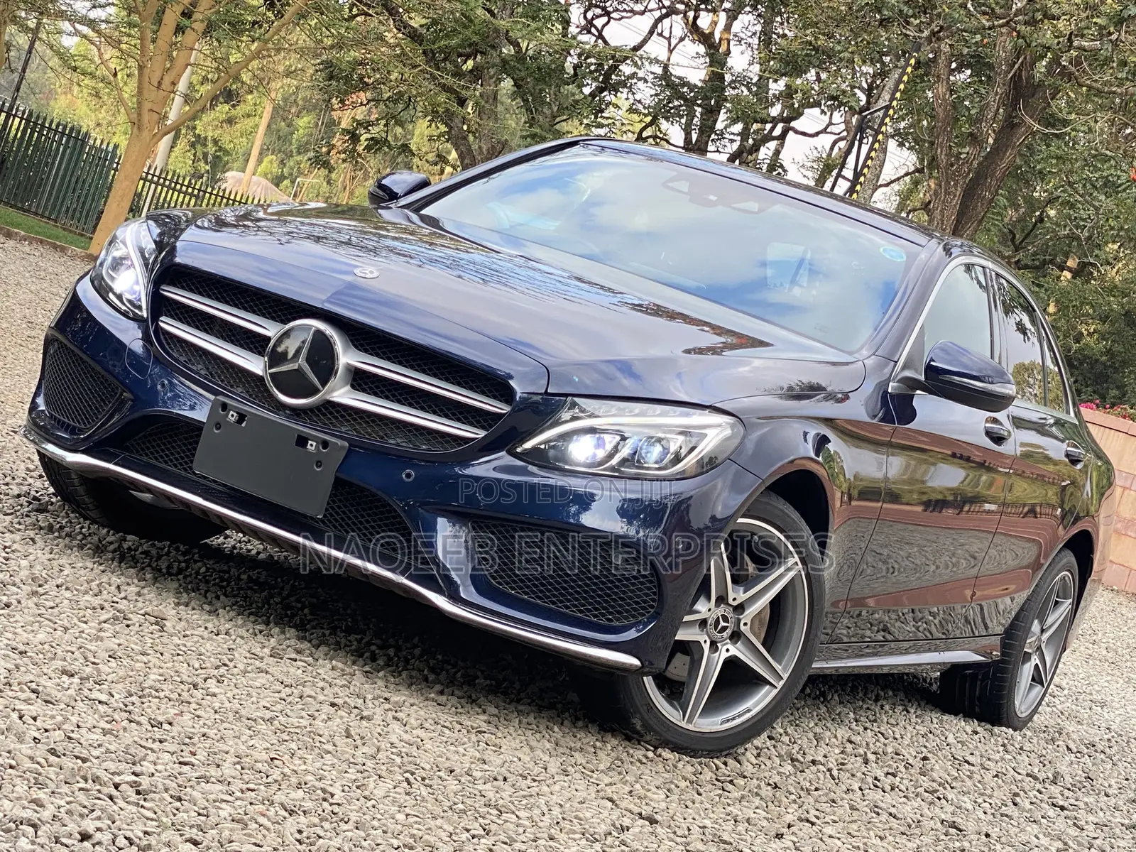 Mercedes-Benz C220 Classic 2018 Blue