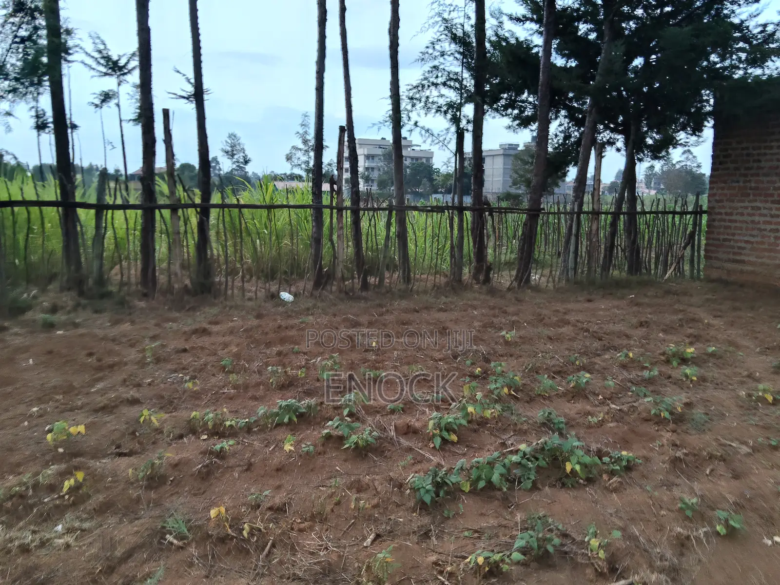 Prime Commercial Plot in Annex Jamboni