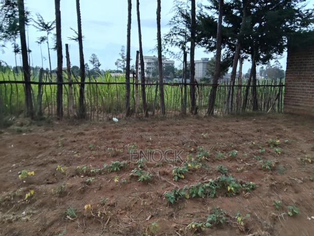 Prime Commercial Plot in Annex Jamboni - thumbnail 6