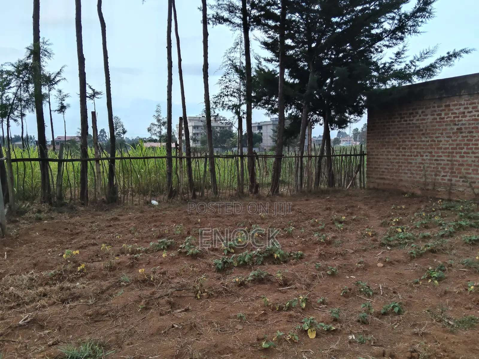 Prime Commercial Plot in Annex Jamboni