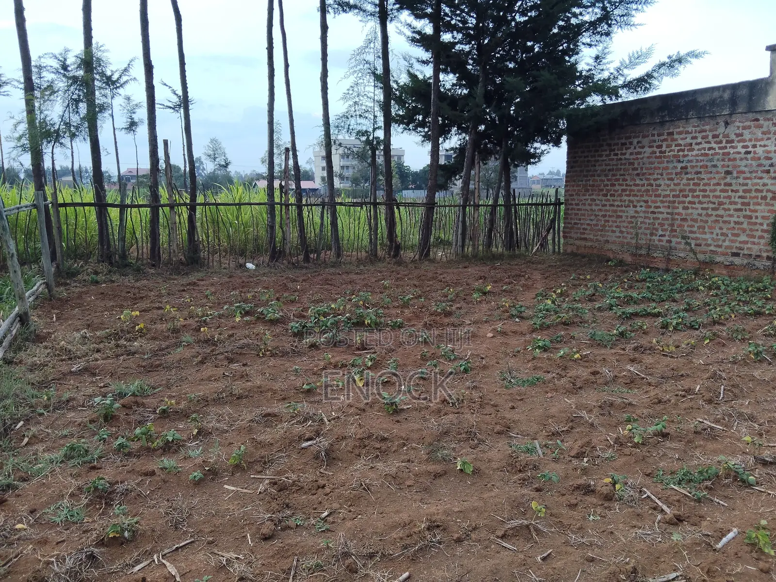 Prime Commercial Plot in Annex Jamboni