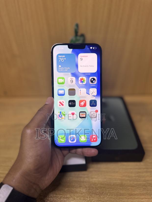 Apple iPhone 13 Pro Max 256 GB Green