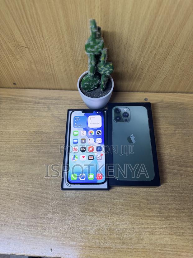 Apple iPhone 13 Pro Max 256 GB Green - thumbnail 3