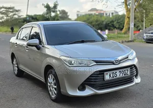 Toyota Axio 2017 Brown