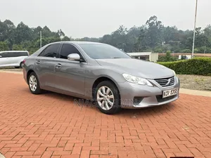 Toyota Mark X 2012 Gray