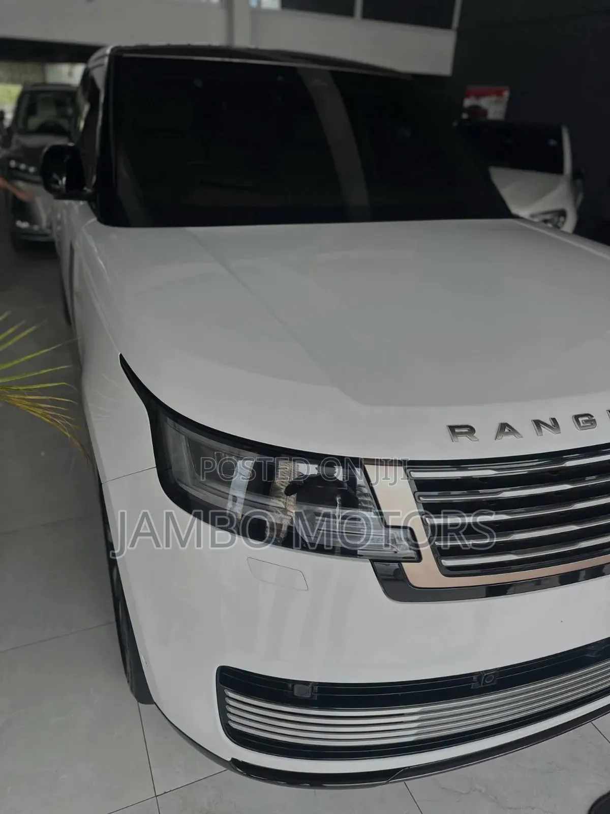 Rover Land 2024 White