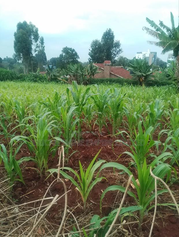 Lower Kabete 1/2 Land for Sale - thumbnail 3
