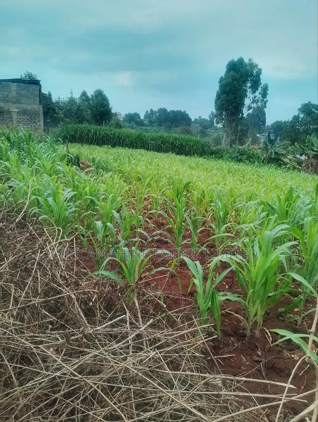 Lower Kabete 1/2 Land for Sale - thumbnail 4