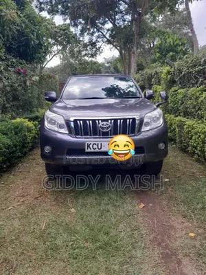 Toyota Land Cruiser 2010 Gray