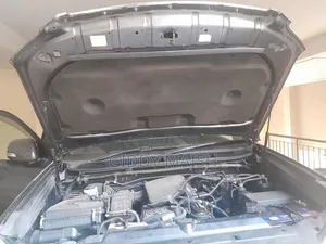 Toyota Land Cruiser 2010 Gray