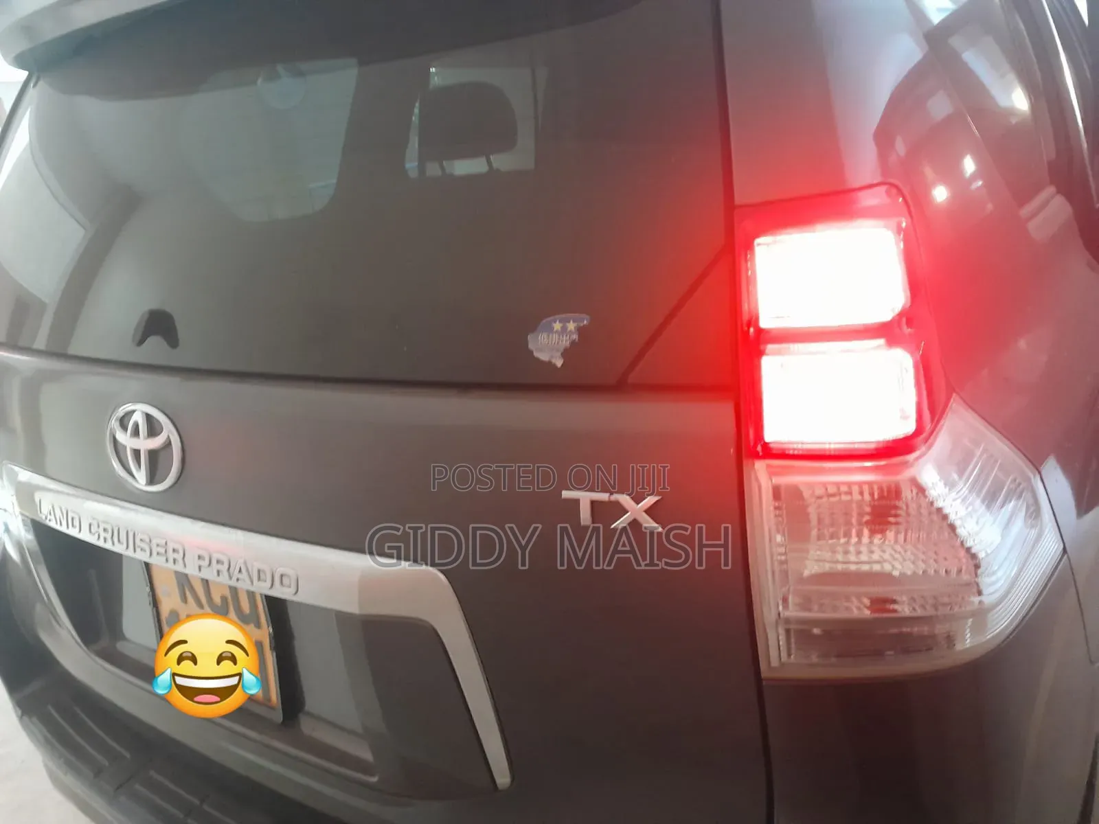 Toyota Land Cruiser 2010 Gray