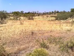5 Acres Land Full of Machine Cut Stones for Lease