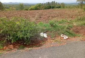 5 Acres Land Full of Machine Cut Stones for Lease