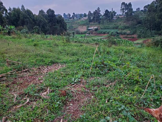 An Acre for Sale in Nyathuna. - thumbnail 2