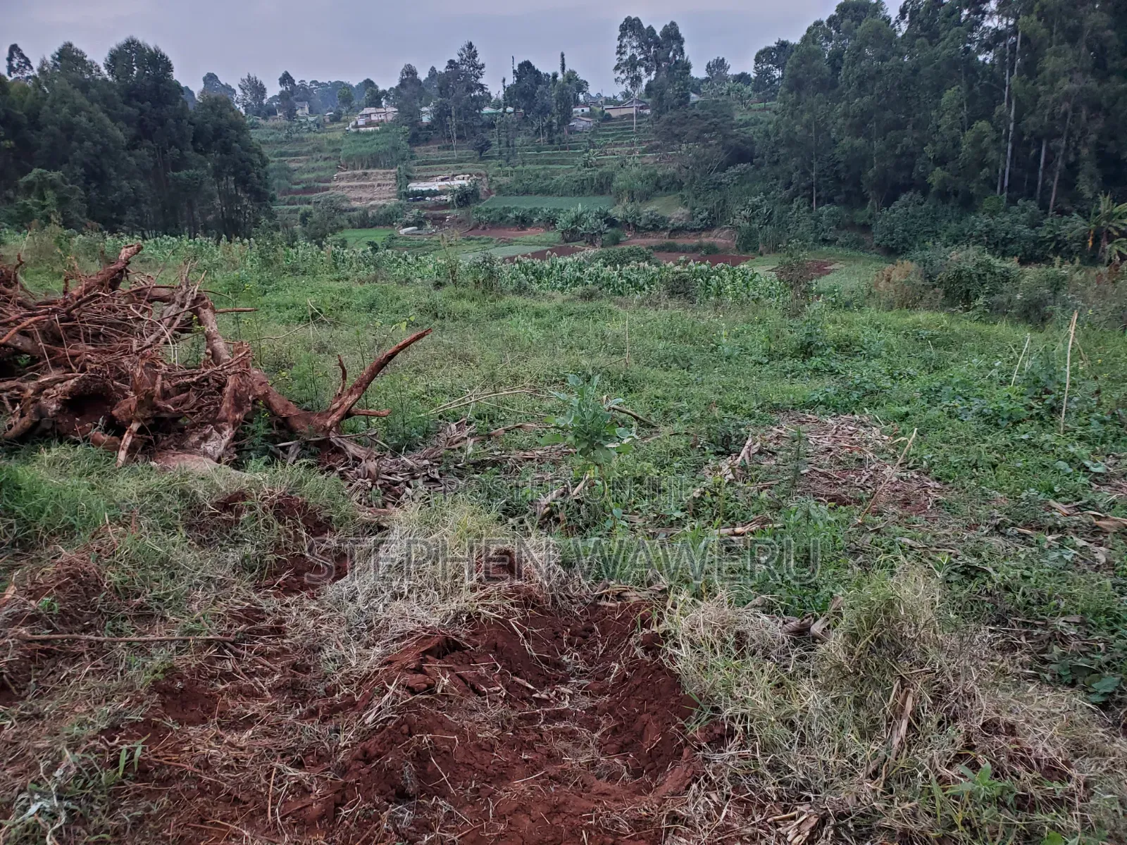 An Acre for Sale in Nyathuna.
