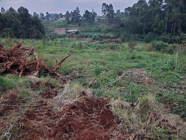 An Acre for Sale in Nyathuna. - thumbnail 3