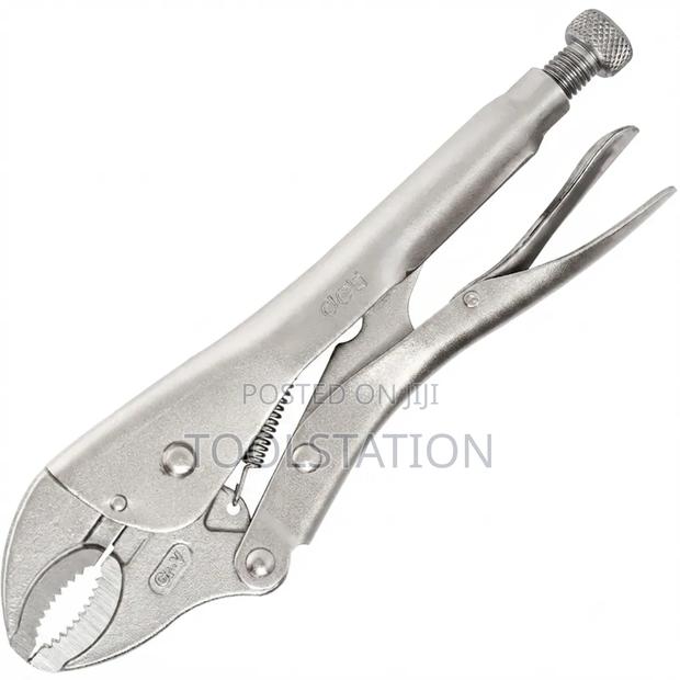Curved Jaw Locking Pliers 10 Inch Heavy Duty Deli Tools Edl2001