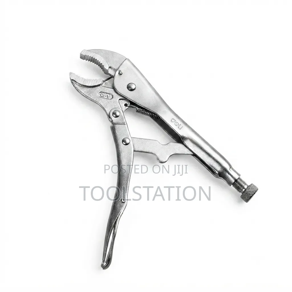 Curved Jaw Locking Pliers 10 Inch Heavy Duty Deli Tools Edl2001