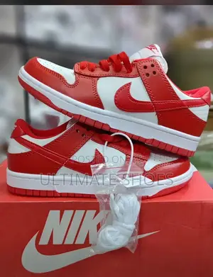 Nike Sb Dunk Low