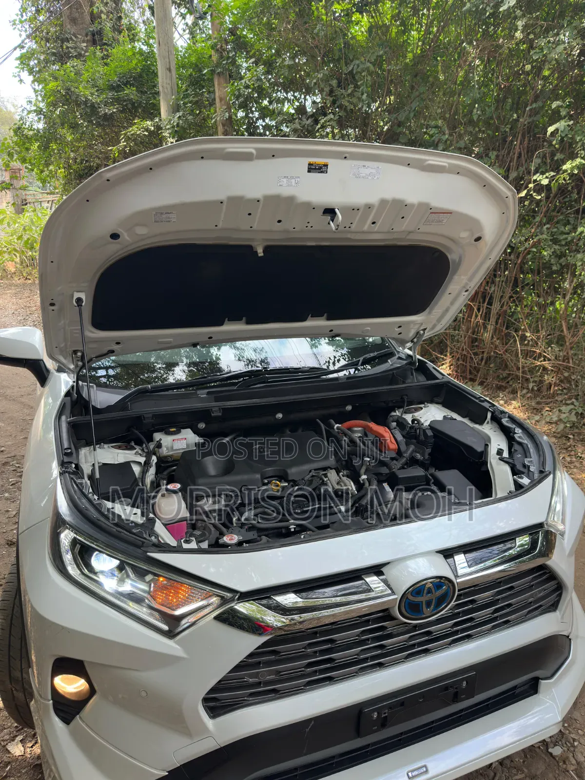 Toyota RAV4 2019 White