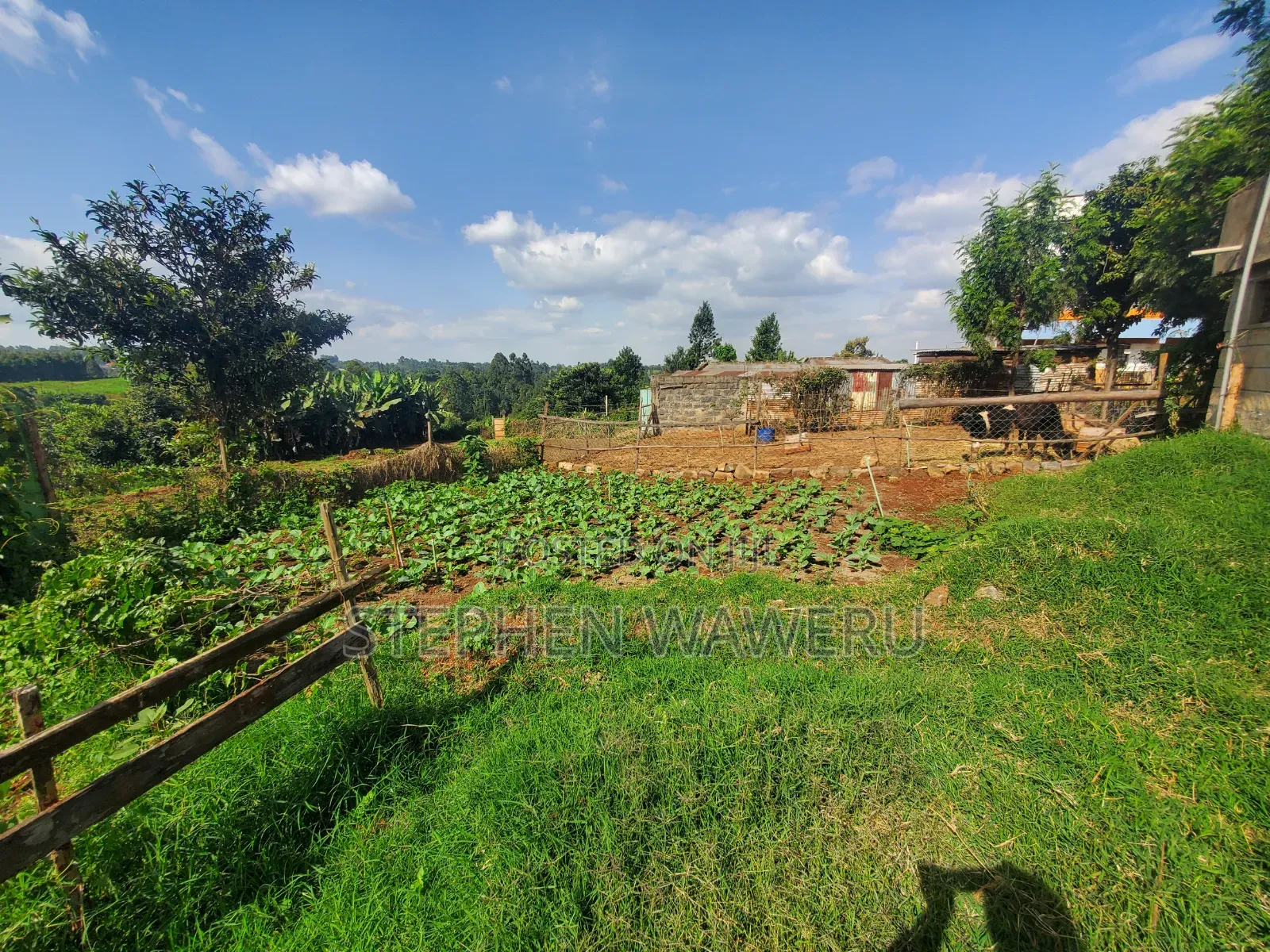 50 by 100 Plot for Sale