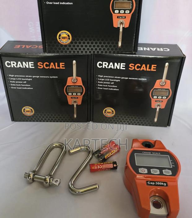 300kg Electronic Crane Scale With LCD Display - main view