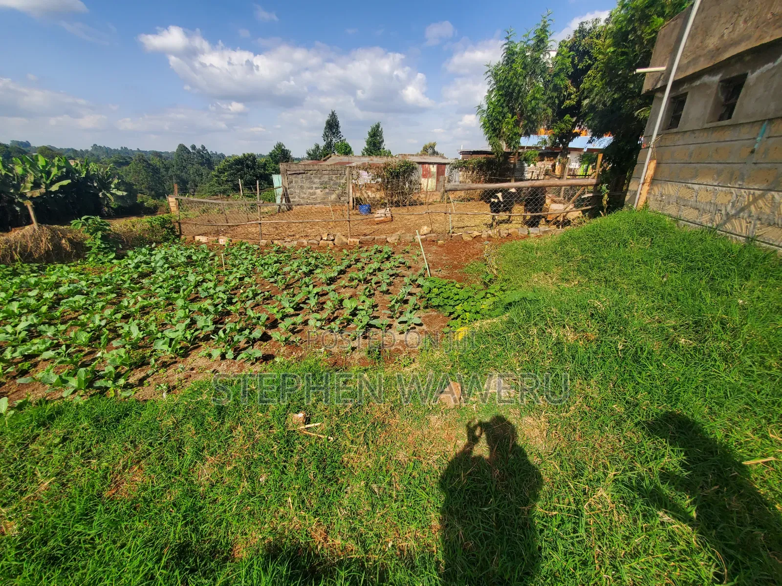 50 by 100 Plot for Sale