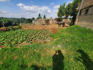 50 by 100 Plot for Sale