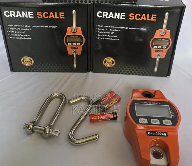 300kg Digital Crane Weighing Hanging Scale