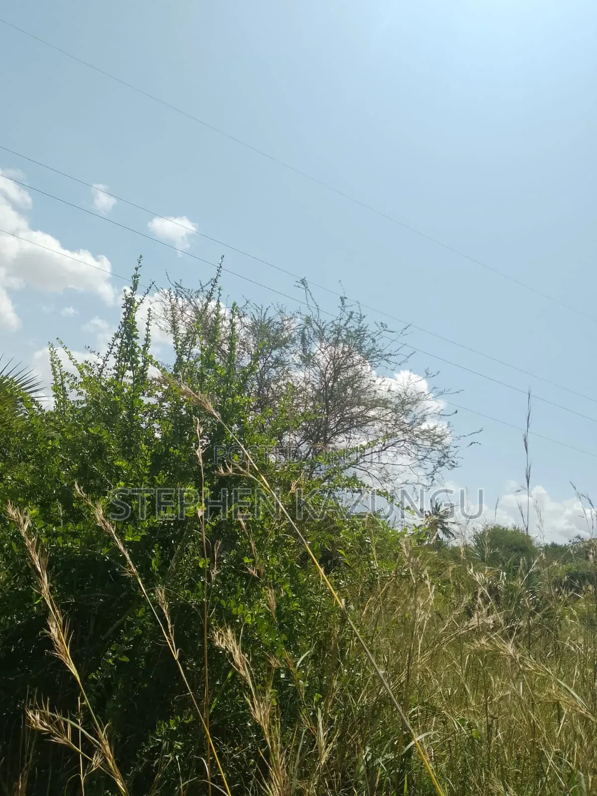 A Green-View 1 Acre Plot Near to Mwabungo Town.