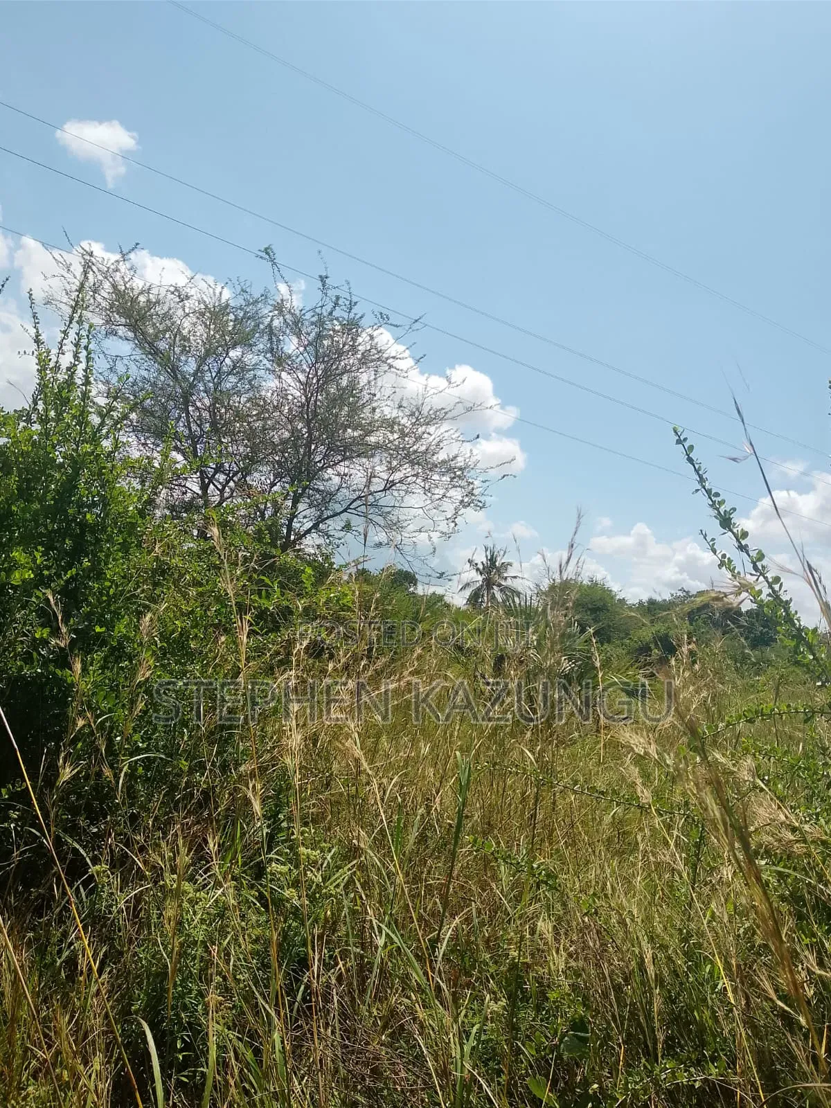 A Green-View 1 Acre Plot Near to Mwabungo Town.